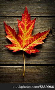 Autumn maple leaf over old wooden background with copy space