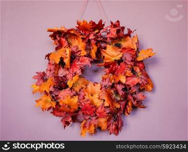 Autumn maple leaves in circle on the purple wall&#xA;