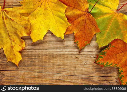 autumn maple leaves on old wooden board