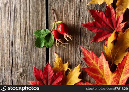 Autumn maple leaves over old wooden background with copy space