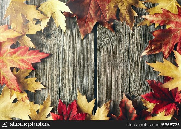 Autumn maple leaves over old wooden background with copy space