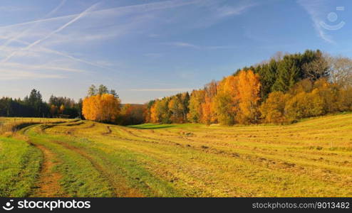 autumn meadow landscape trees