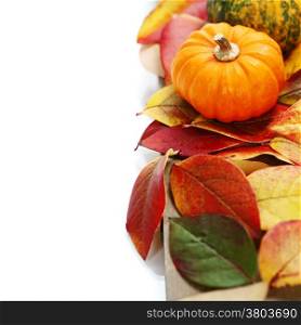 Autumn mini pumpkins and leaves over white