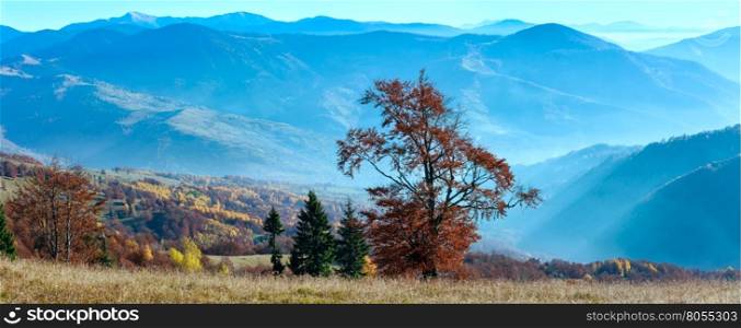 Autumn misty Carpathian mountain landscape with colorful trees on slope.