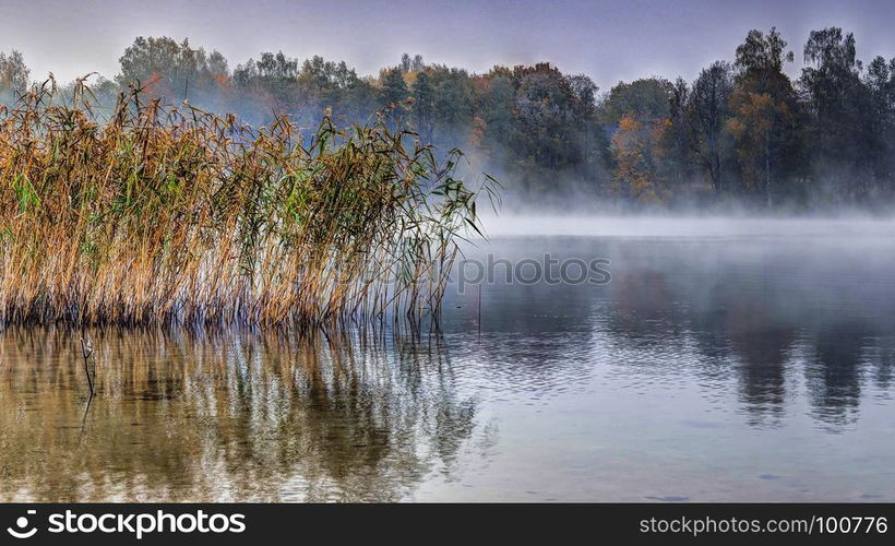 Autumn misty morning. Lake Galve strand.