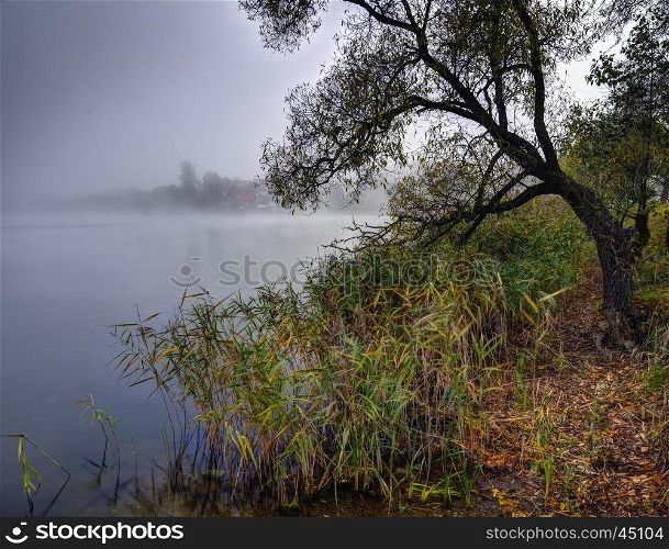 Autumn misty morning. Lake Galve strand.