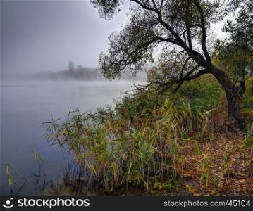 Autumn misty morning. Lake Galve strand.