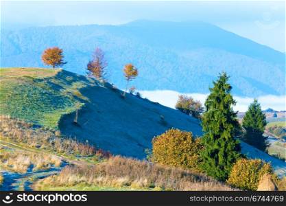Autumn misty morning mountain hill (Carpathian , Ukraine).