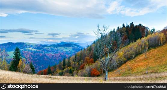 Autumn misty morning mountain panorama with haystack and stark bare tree in front (Carpathian Mt&rsquo;s, Ukraine). Four shots stitch image.
