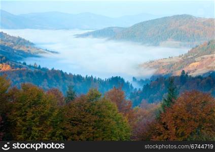 Autumn misty morning mountain valley (Carpathian Mt&rsquo;s, Ukraine).