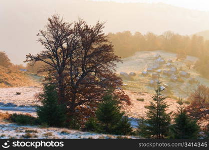 Autumn misty morning mountain view of cattle-breeding farm on plateau (Carpathian Mt&rsquo;s, Ukraine).