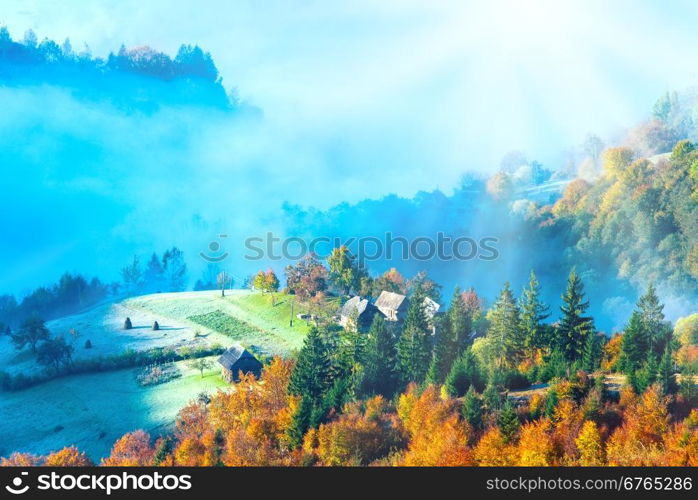 Autumn misty morning mountainside (Carpathian, Ukraine).