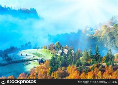 Autumn misty morning mountainside (Carpathian, Ukraine).