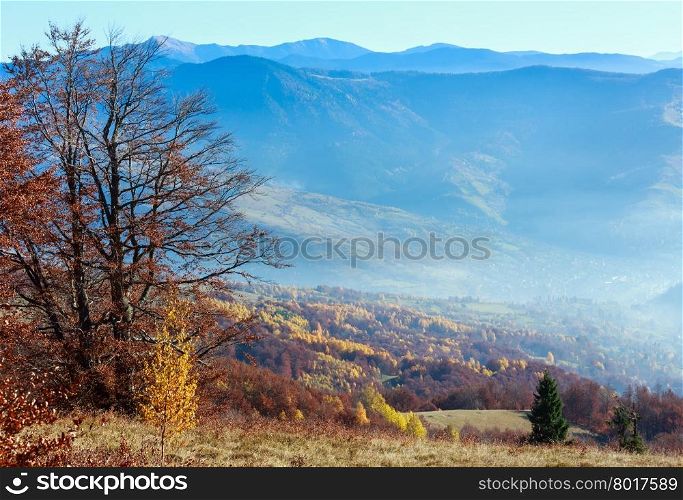 Autumn misty mountain landscape with colorful trees on slope.