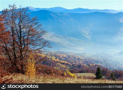 Autumn misty mountain landscape with colorful trees on slope.