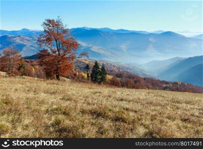Autumn misty mountain landscape with colorful trees on slope and sunbeams.