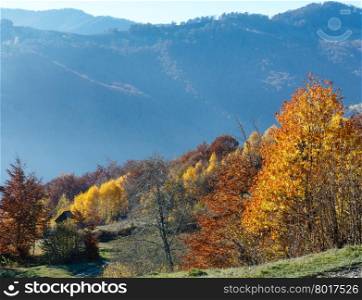 Autumn misty mountain slope with colorful trees.