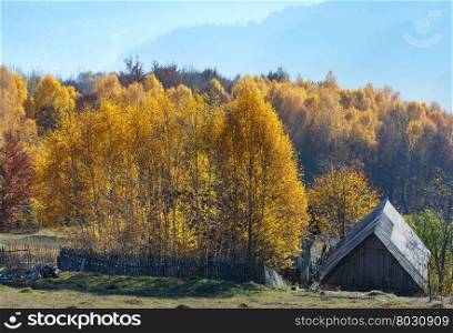 Autumn misty mountain slope with yellow birch trees and roof of wooden house.