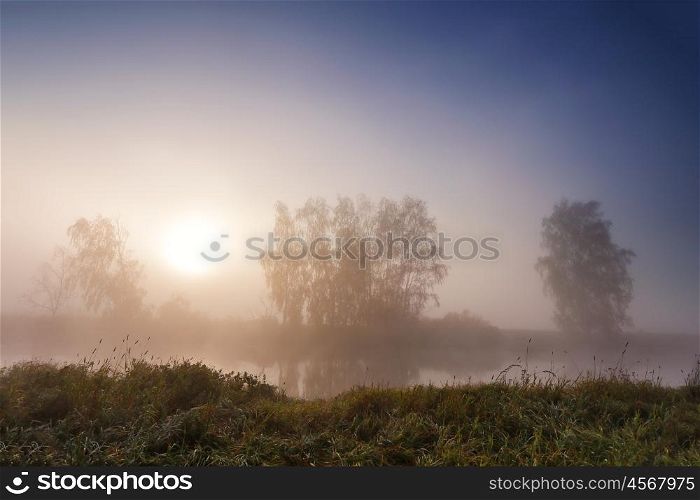 Autumn misty sunrise on the river in the park