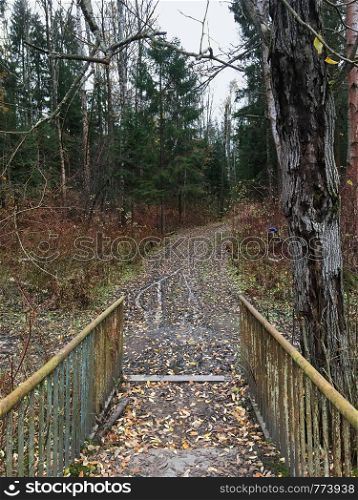 Autumn mixed forest. Old rusty bridge over the lake. Forest landscape. Autumn nature. Cloudy weather. Blurred water trail in a natural park with trees and yellow foliage.. Autumn mixed forest. Forest landscape.