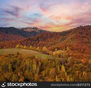 Autumn morning Carpathian Mountains calm picturesque scene, Ukraine. Peaceful traveling, seasonal, nature and countryside beauty concept scene.