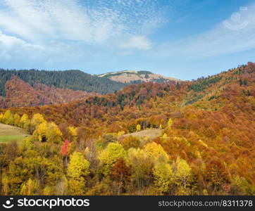 Autumn morning Carpathian Mountains calm picturesque scene, Ukraine. Peaceful traveling, seasonal, nature and countryside beauty concept scene.