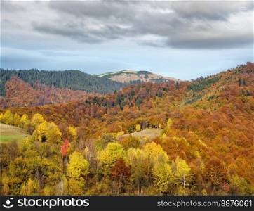 Autumn morning Carpathian Mountains calm picturesque scene, Ukraine. Peaceful traveling, seasonal, nature and countryside beauty concept scene.