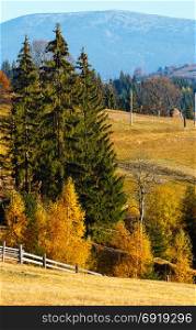 Autumn morning Carpathian slope landscape (Yablunytsia village, Ivano-Frankivsk oblast, Ukraine).
