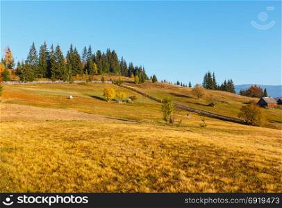Autumn morning Carpathian slope landscape (Yablunytsia village, Ivano-Frankivsk oblast, Ukraine). Rural scene.