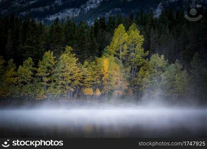 Autumn morning colors and mist at Wedge Pond in Kananaskis Country of Alberta, Canada.