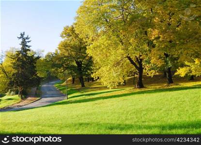 Autumn Morning Light in Park with Walking Path and Fall Maple Trees