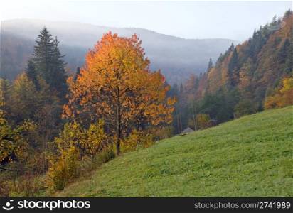 Autumn morning on mountainside near village