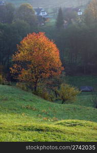 Autumn morning on mountainside near village