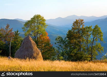 Autumn mountain hill with colorful tree and haystack (Carpathians, Ukraine)