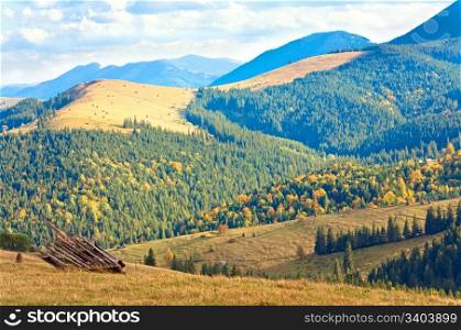 Autumn mountain hill with colorful trees (Carpathians, Ukraine)