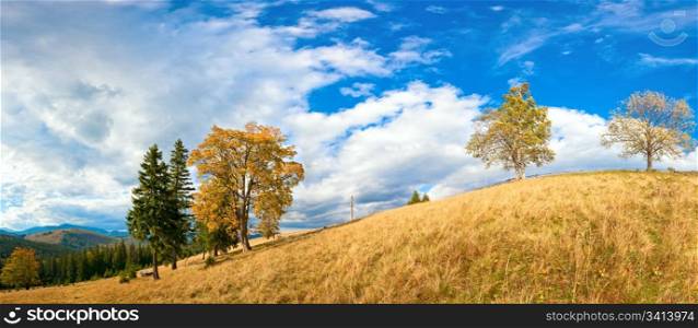 Autumn mountain hill with colorful trees (Carpathians, Ukraine). Four shots stitch image.