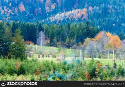 Autumn mountain landscape and forest on hill (Carpathian, Ukraine)