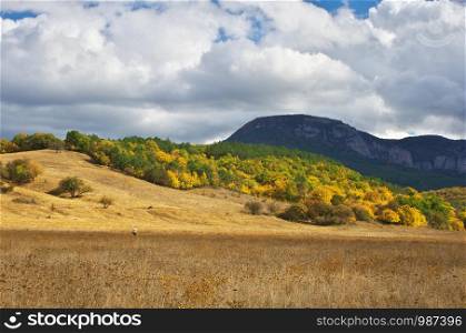 Autumn mountain landscape. Nature composition.