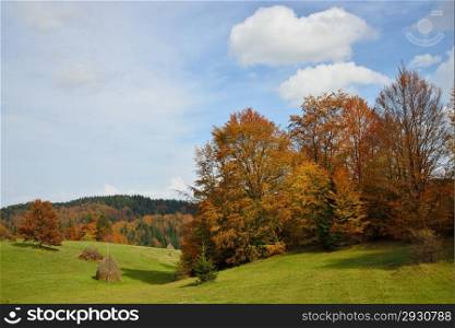 Autumn Mountain Landscape with Green Field and Colorful Forest