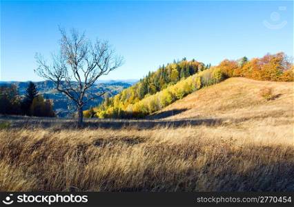 Autumn mountain Nimchich pass (Carpathian, Ukraine) and colorful trees on hill.