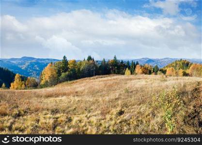 Autumn  mountain Nimchich pass panorama (Carpathian, Ukraine) with country road and colorful trees on hill.
