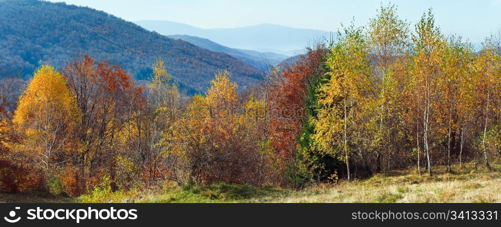 Autumn mountain panorama and birches forest in front. (Carpathian Mt&rsquo;s, Ukraine). Two shots stitch image.