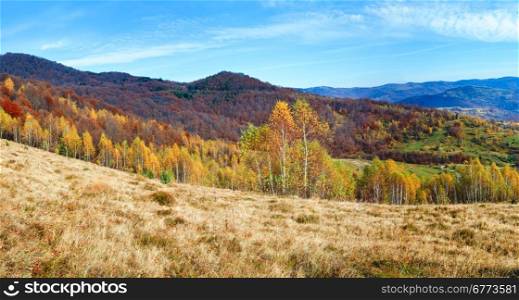 Autumn mountain panorama and birches forest on mountainside. (Carpathian Mt&rsquo;s, Ukraine)