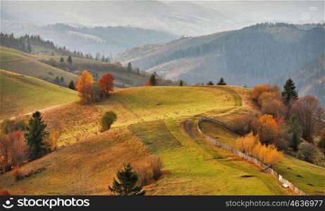 Autumn mountain panorama. October on Carpathian hills. Fall