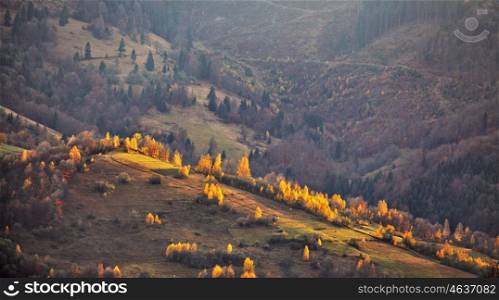 Autumn mountain panorama. October on Carpathian hills. Fall