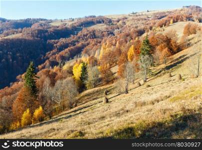 Autumn mountain slope with colorful trees and haystacks.