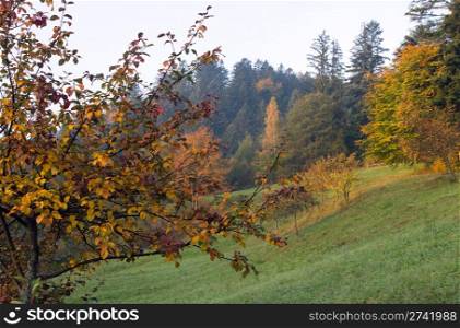 Autumn mountain view with apple tree in front