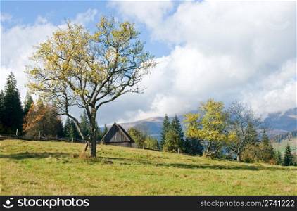 Autumn mountainous green glade with small country estate.