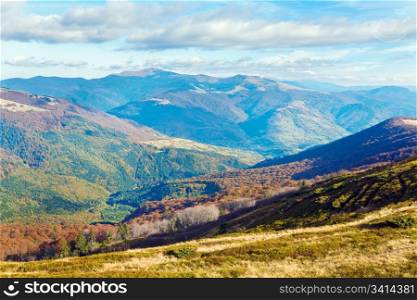 Autumn mountains with a stark bare trees on forest edge in front (Carpathian, Ukraine).