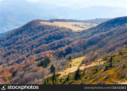 Autumn mountains with a stark bare trees on forest mountainside edge (Carpathian, Ukraine).